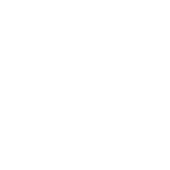 najm (1).png